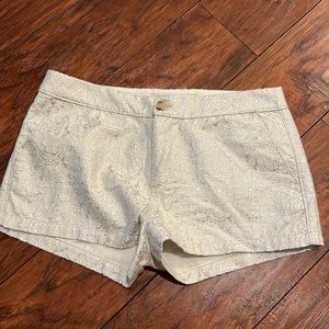 Abercrombie & Fitch | Metallic Shorts | Size 2 | NWOT